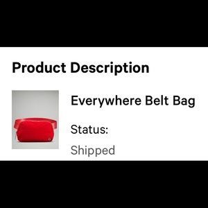 Lululemon Waist / crossbody bag